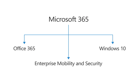 What's in Microsoft 365?