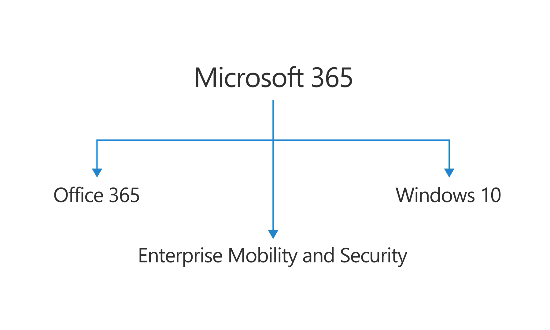 4 Reasons Why Your Company Should Use Microsoft 365